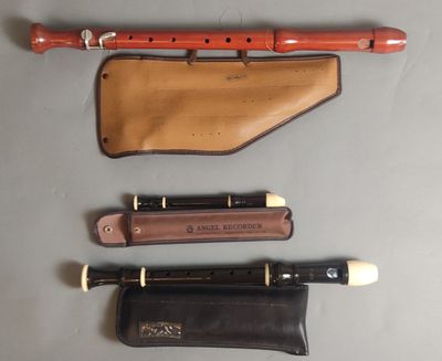 Trois types d'instruments différents sont alignés sur une table