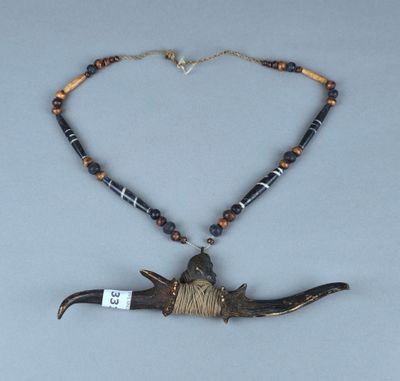 une image représentant un collier avec un oiseau autour du cou
