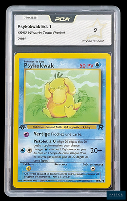 une image d'une carte Pokémon dans un étui en plastique