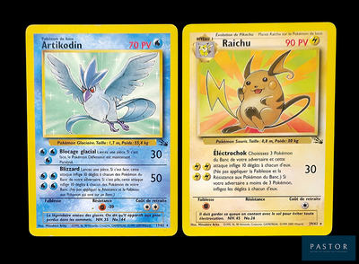 Deux cartes Pokémon sont représentées côte à côte sur un fond noir.