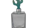 glass bottle with a cactus on top of it on a white background