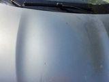 a cat sitting on top of the hood of a car