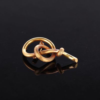 Broche en or 18k (750e) partiellement brossé, stylisant un l… - Photo 1
