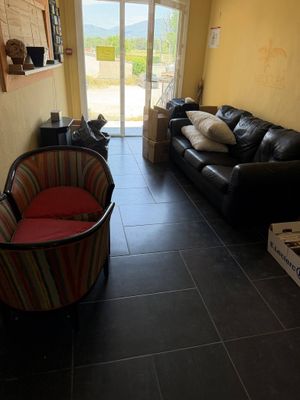 un salon avec un canapé et une chaise