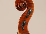 a close up of the back of a violin