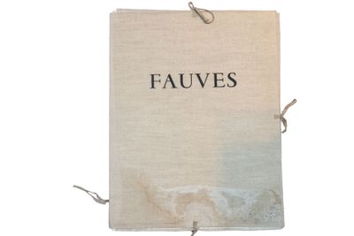 un vieux livre sur lequel est inscrit le mot « fauves »