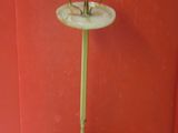 a small table with a gold stand and a red wall