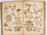 an open book with drawings of plants and animals on it