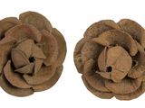 paire de deux fleurs en bois marron sur fond blanc