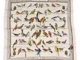 a white scarf with birds on it on a white background
