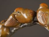 two birds sitting on a branch together on a dark background