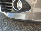 a close up of a car ' s grille with a dog in the background