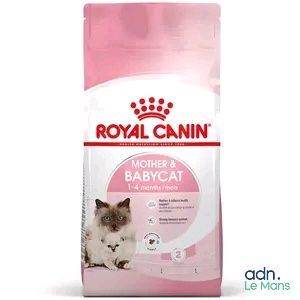 royal canin mother and babycat dry cat food
