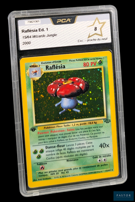 gros plan d'une carte pokemon dans un étui en plastique