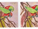 tableau représentant deux perroquets perchés sur une branche d'arbre, sur fond rose
