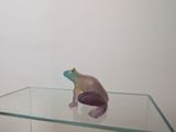 purple frog figurine sitting on a glass shelf in a white room