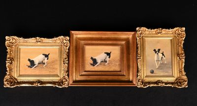 deux photos encadrées représentant un chien et un chat sur fond noir