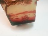 a hand holding a glass with a picture of a tree on it