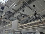 many fans that are hanging from the ceiling of a building