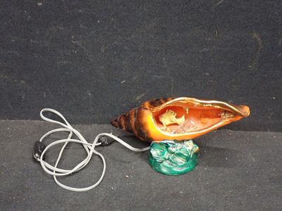 un objet en forme de coquillage auquel est attaché un cordon