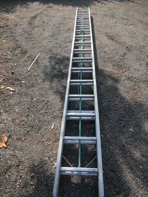 a ladder that is laying on the ground next to a tree