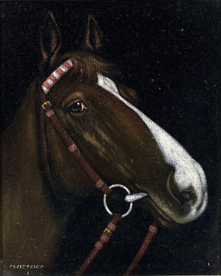 portrait d'un cheval avec une bride sur la tête