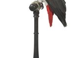 un oiseau perché au sommet d'un poteau