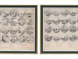 deux cartes encadrées de la ville de New York, de l'État de New York et de New York
