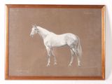 tableau représentant un cheval blanc debout devant un fond marron