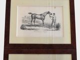 three framed drawings of horses and jockeys in a wood frame