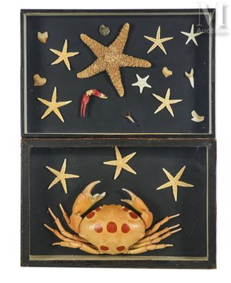 a box with a crab and starfish in it