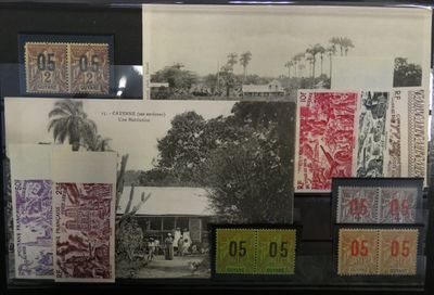 une photo d'une collection de timbres exposée dans une vitrine