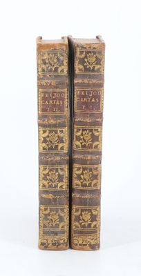 une paire de livres anciens reliés en cuir sur fond blanc