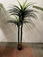 Ensemble de plantes artificielles de décoration comprenant :… (photo 4)