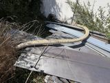 a hose that is attached to the roof of a building