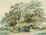 a painting of a large tree in the middle of a field