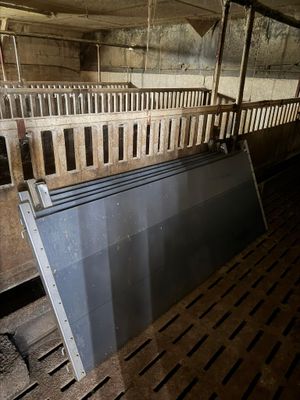 a lot of animals that are inside of a barn