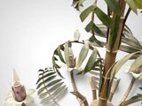 a plant that is growing out of a pot
