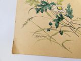 une photo représentant un dessin de fleur sur une feuille de papier