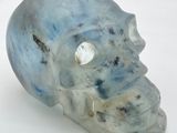 a picture of a blue and white skull on a white surface