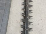 a close up of a hedger on the ground
