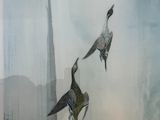 two birds that are flying in the sky together
