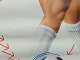 painting of a soccer player kicking a soccer ball on a field