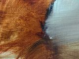 an oil painting of a dog looking up at the sky