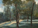 une image représentant un tableau montrant des arbres dans un champ