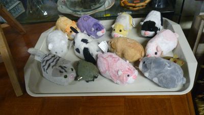 de nombreuses peluches posées sur un plateau posé sur une table