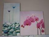 pictures of flowers and rocks on the wall