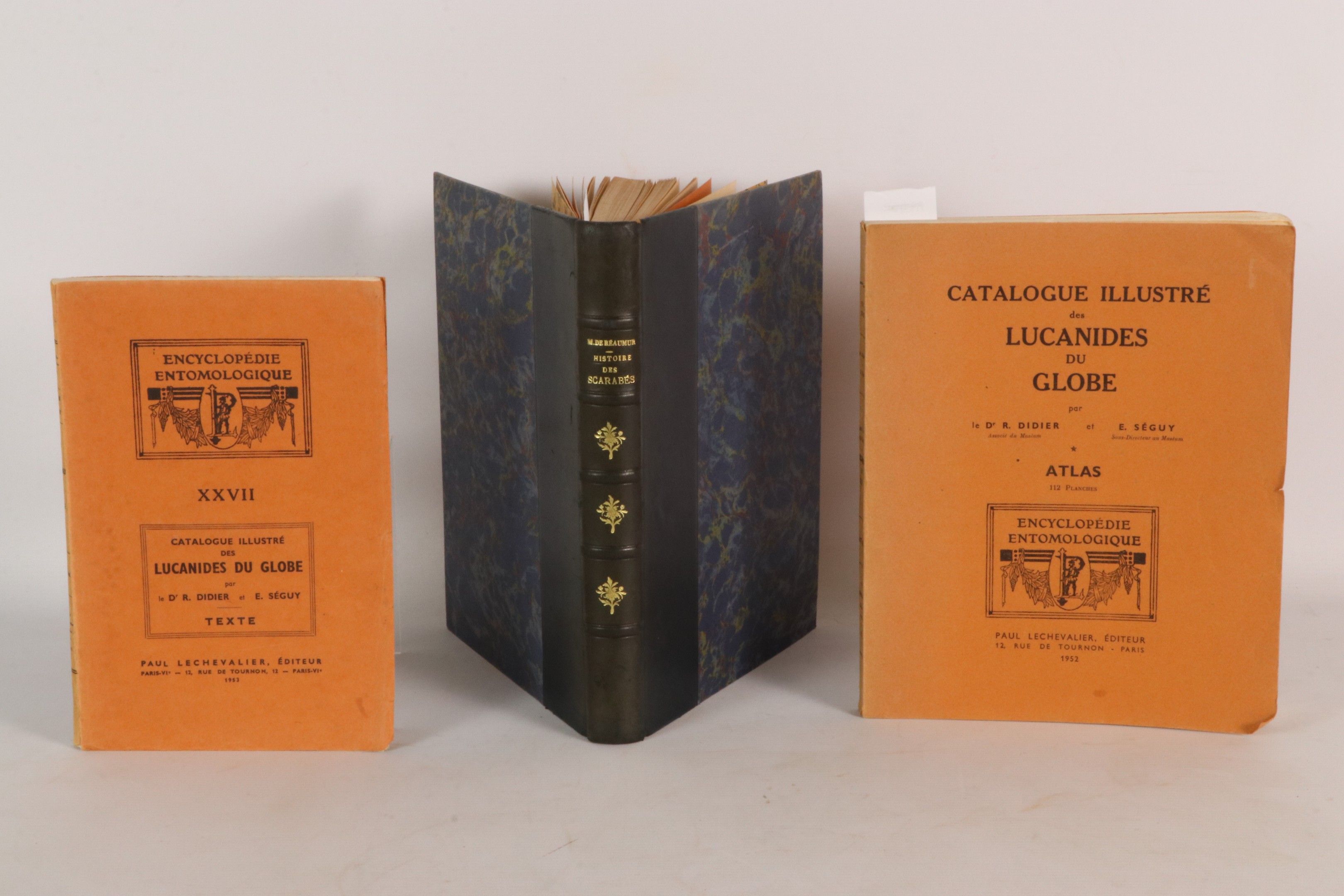 [ENTOMOLOGIE] DIDIER E. & SEGUY E. Encyclopédie entomologiqu…
