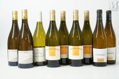 plusieurs bouteilles de vin sont alignées sur une surface blanche