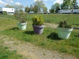 Photo 2/2 du lot